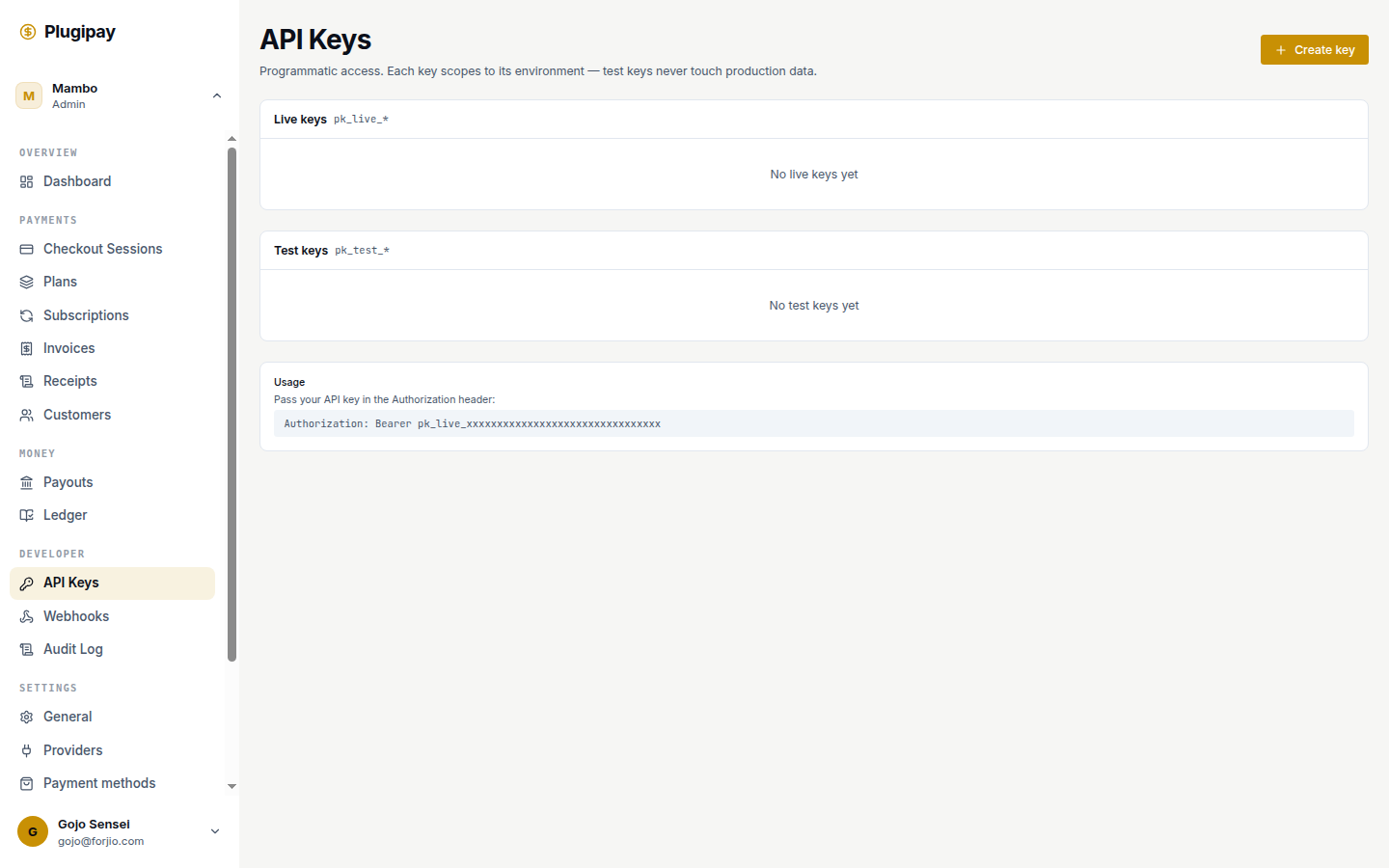 Plugipay portal: api-keys