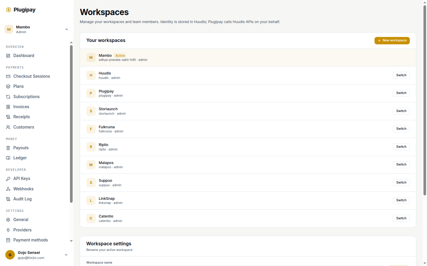 Plugipay portal: workspaces